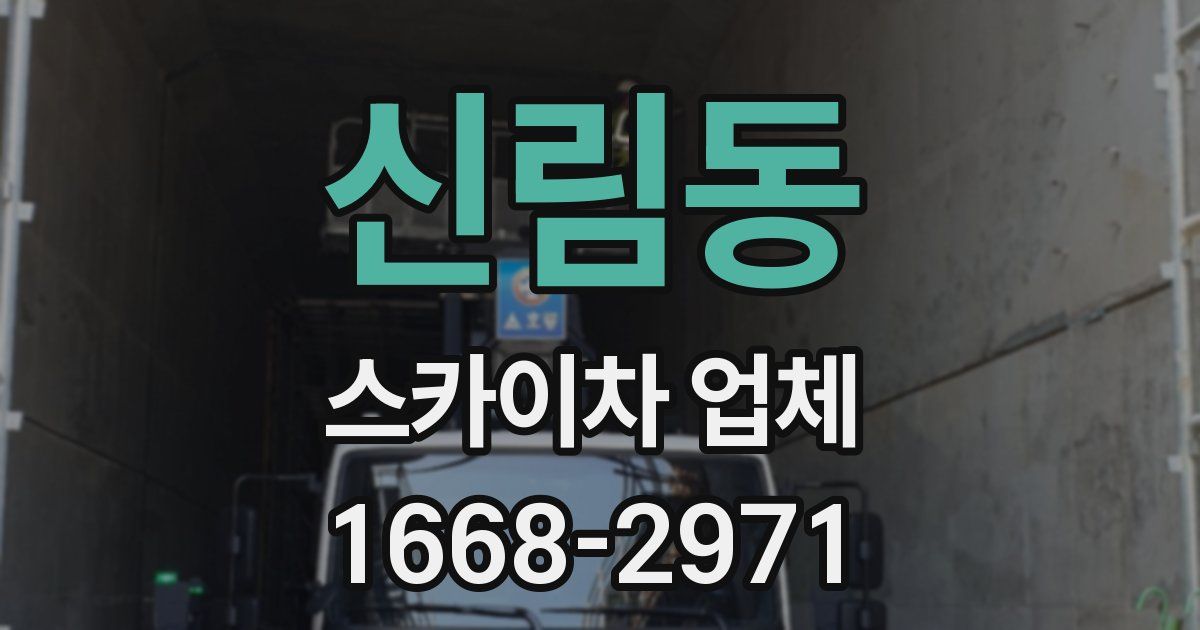 신림동 스카이차 업체