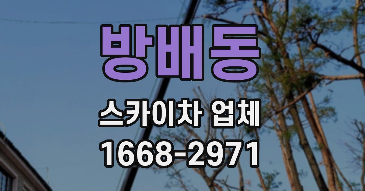 방배동 스카이차 업체