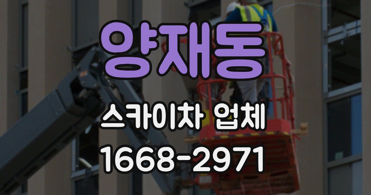 양재동 스카이차 업체