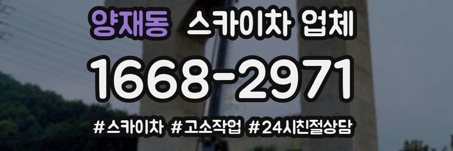 양재동 스카이차 업체