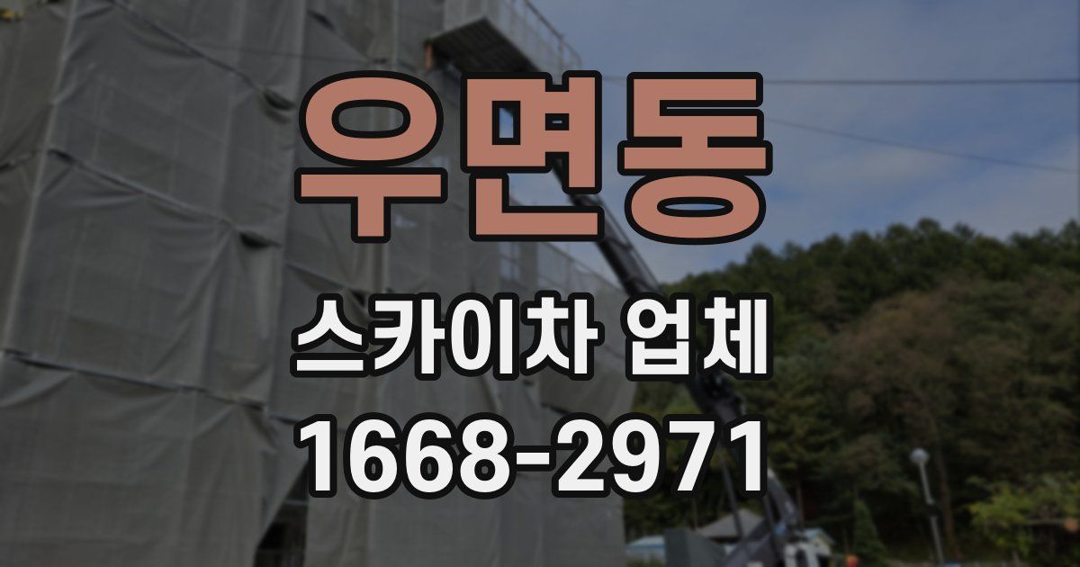 우면동 스카이차 업체