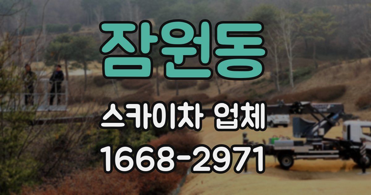 잠원동 스카이차 업체