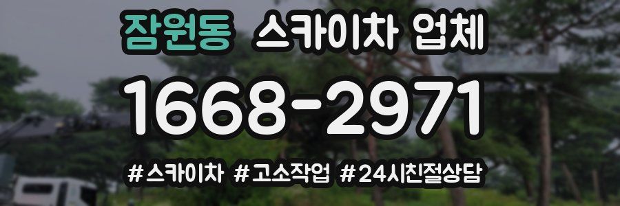 잠원동 스카이차 업체