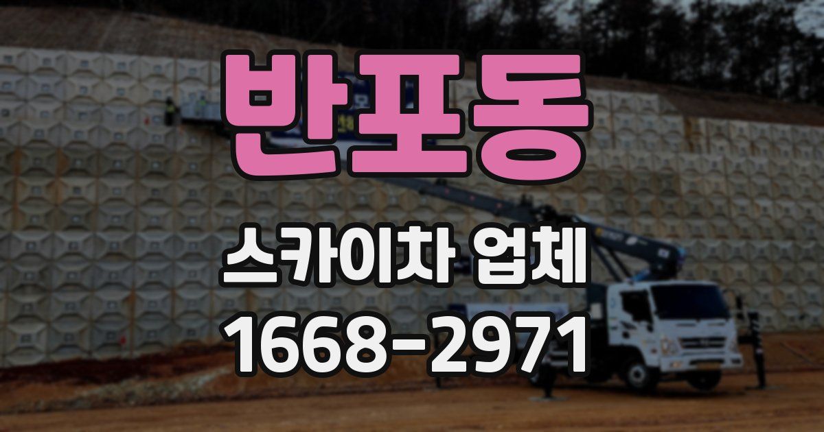 반포동 스카이차 업체