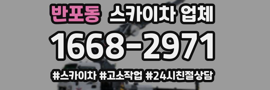 반포동 스카이차 업체