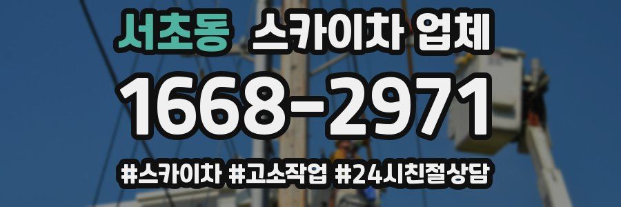 서초동 스카이차 업체