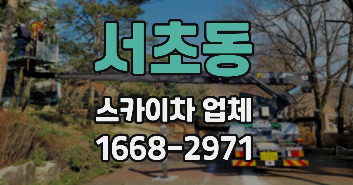 서초동 스카이차 업체