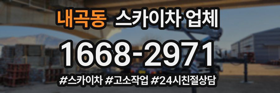 내곡동 스카이차 업체