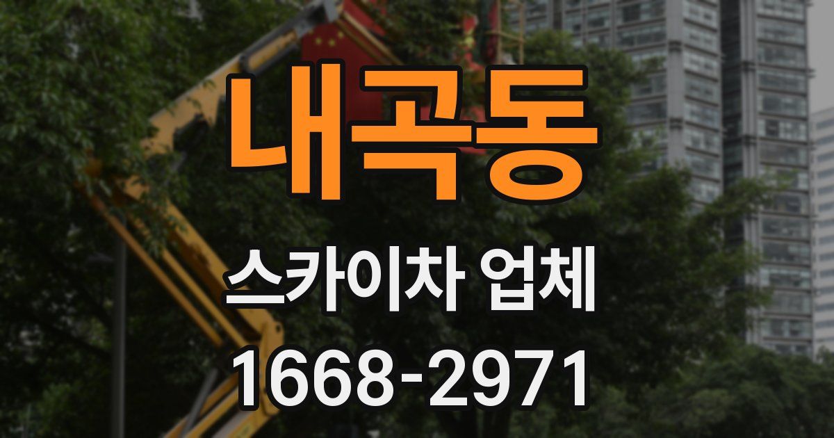 내곡동 스카이차 업체