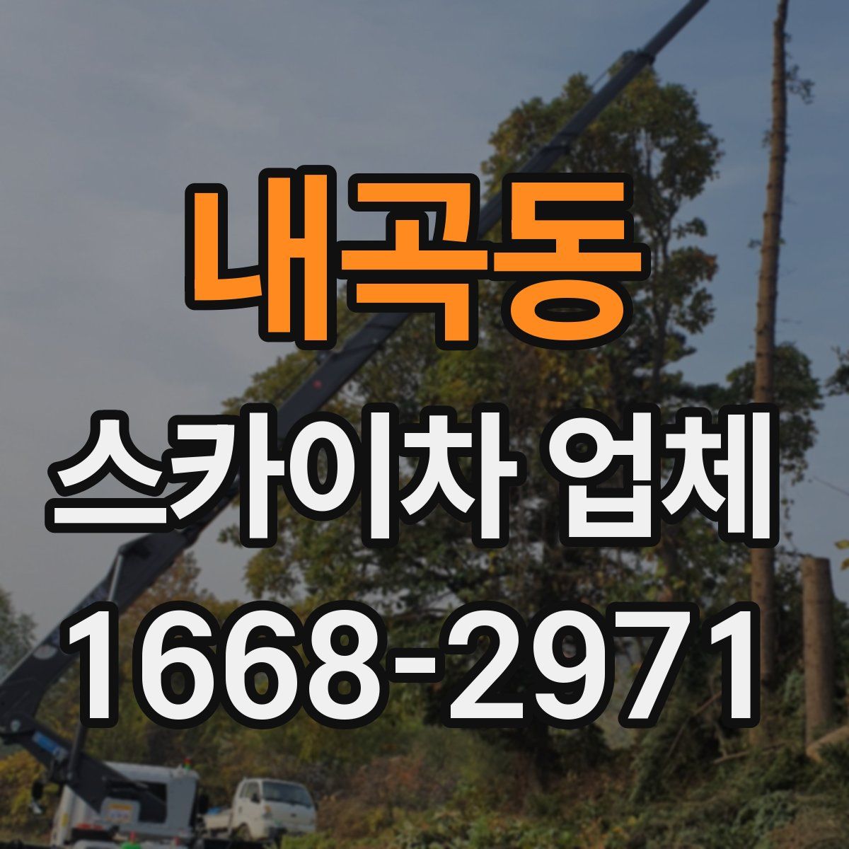 내곡동 스카이차 업체