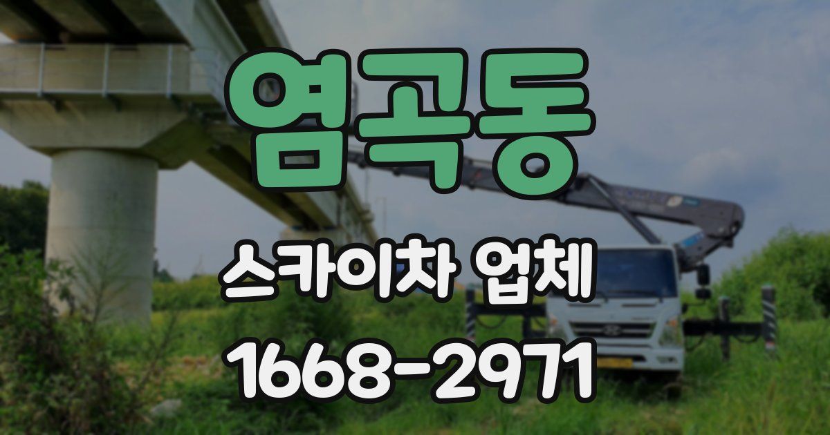염곡동 스카이차 업체