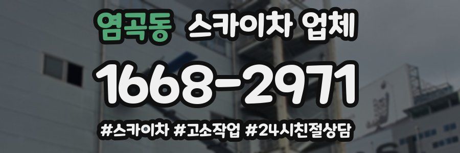 염곡동 스카이차 업체