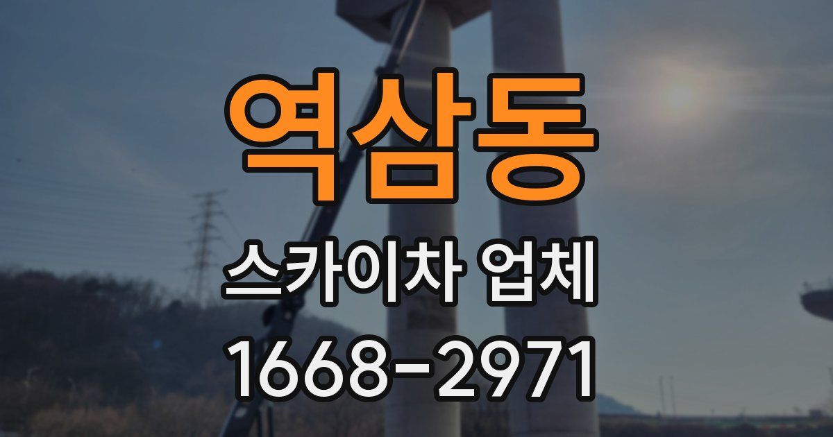 역삼동 스카이차 업체