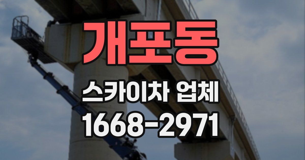 개포동 스카이차 업체