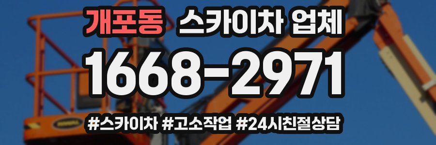 개포동 스카이차 업체