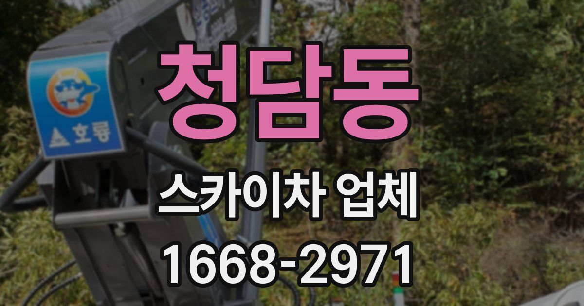 청담동 스카이차 업체