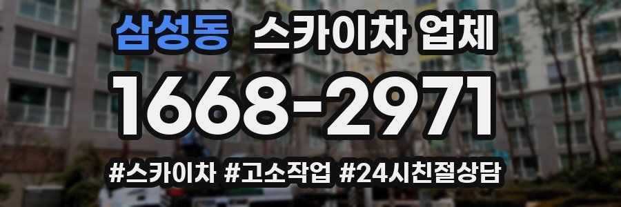삼성동 스카이차 업체