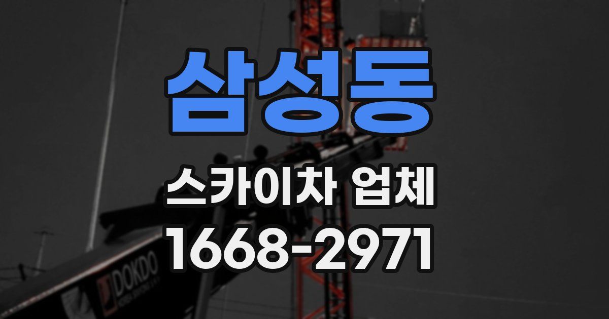 삼성동 스카이차 업체