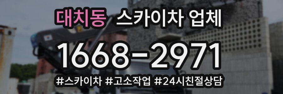 대치동 스카이차 업체