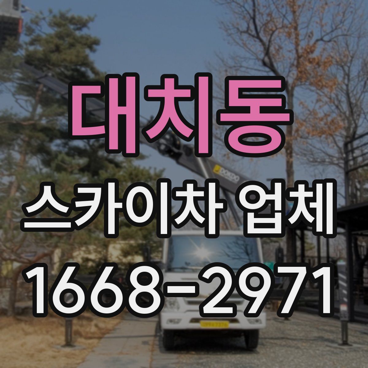 대치동 스카이차 업체
