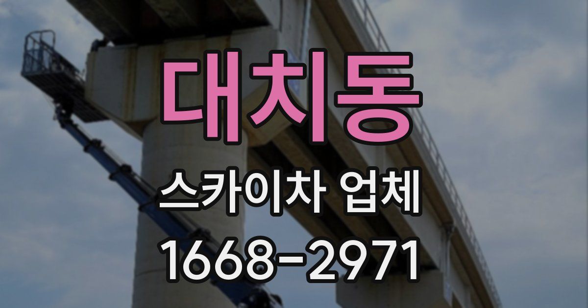 대치동 스카이차 업체