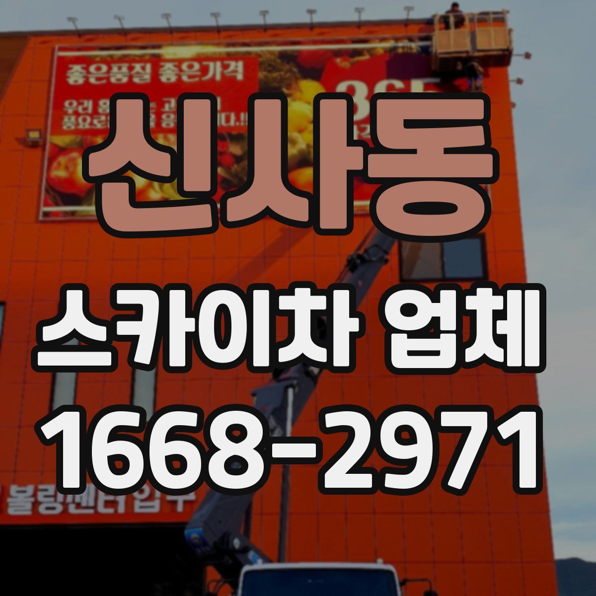 신사동 스카이차 업체
