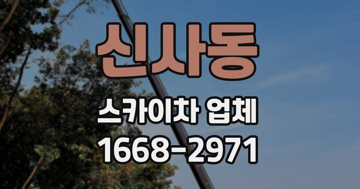 신사동 스카이차 업체