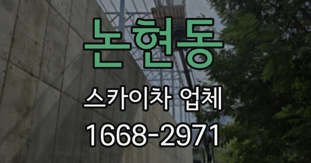 논현동 스카이차 업체