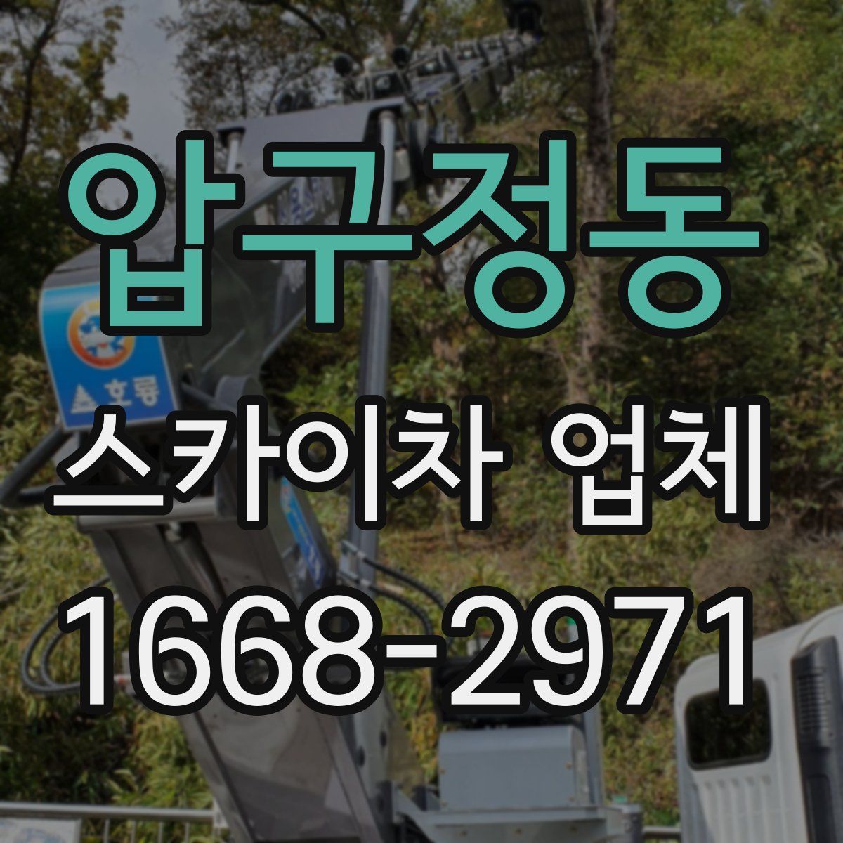 압구정동 스카이차 업체