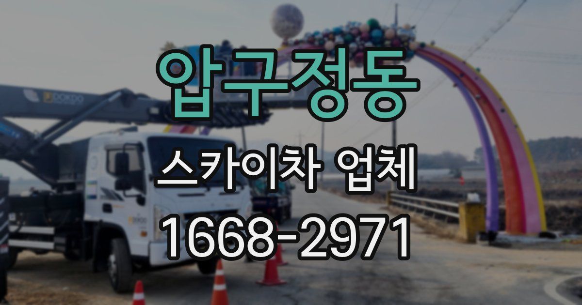 압구정동 스카이차 업체