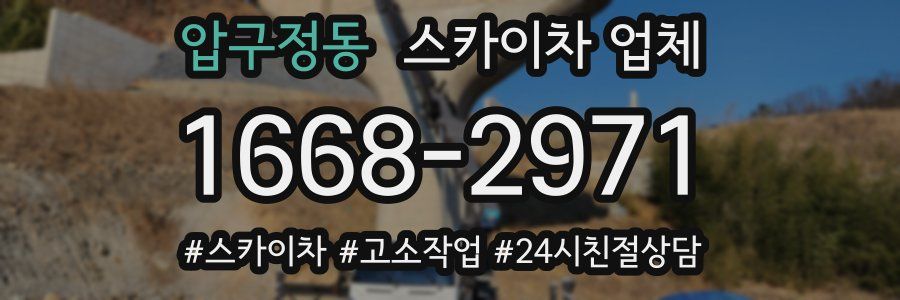 압구정동 스카이차 업체