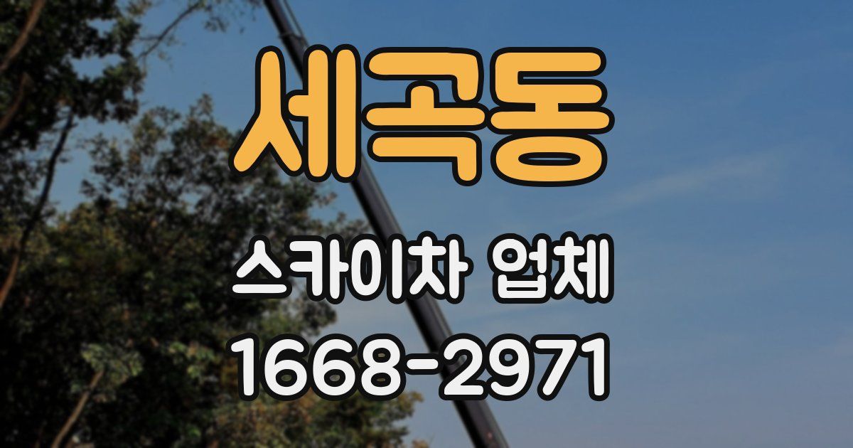 세곡동 스카이차 업체
