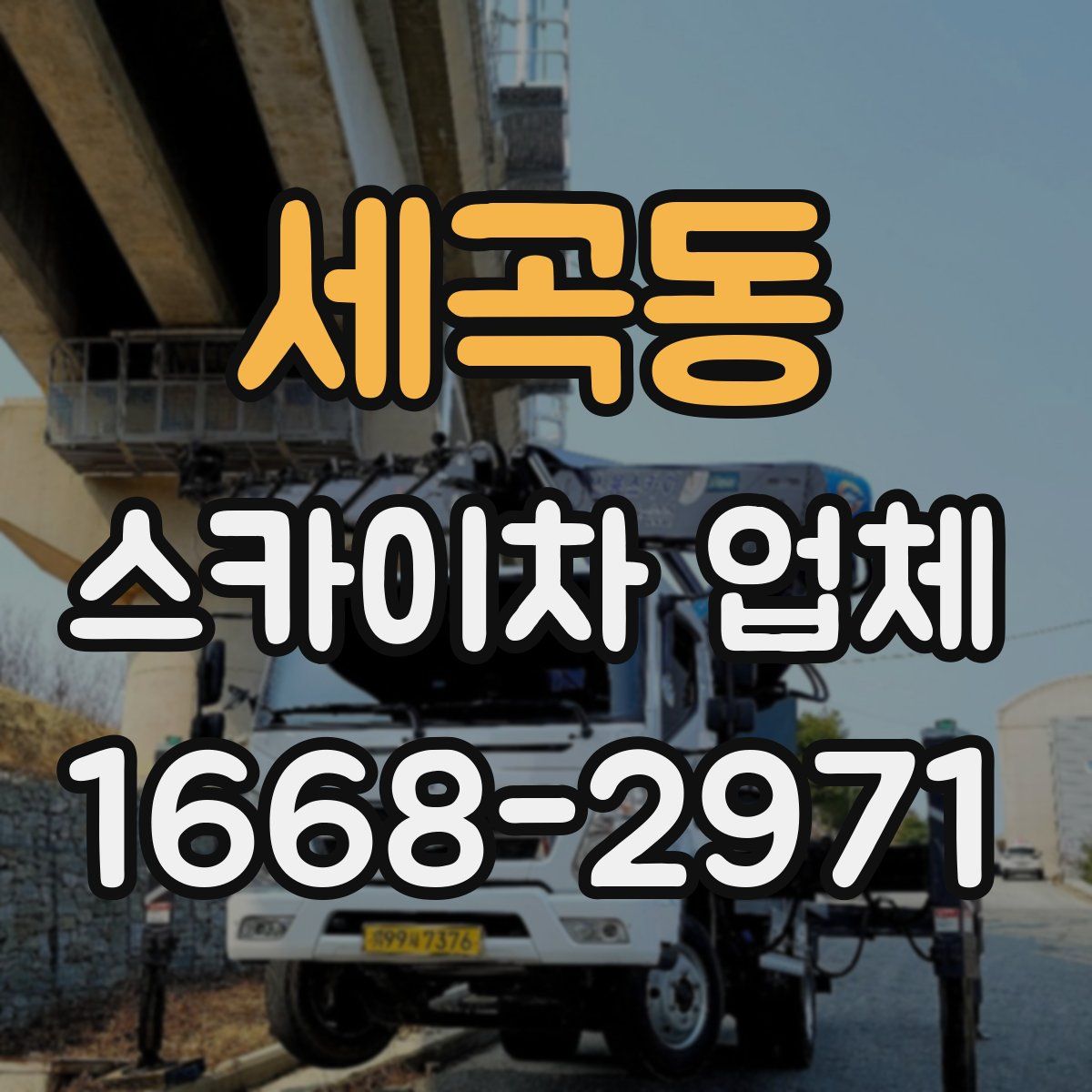 세곡동 스카이차 업체