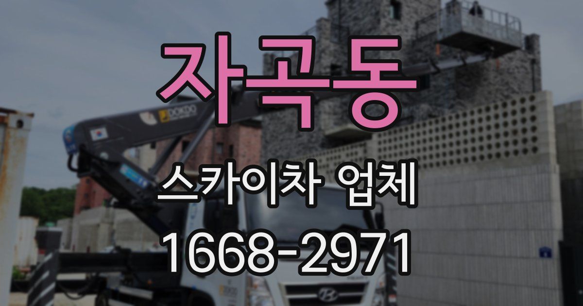 자곡동 스카이차 업체