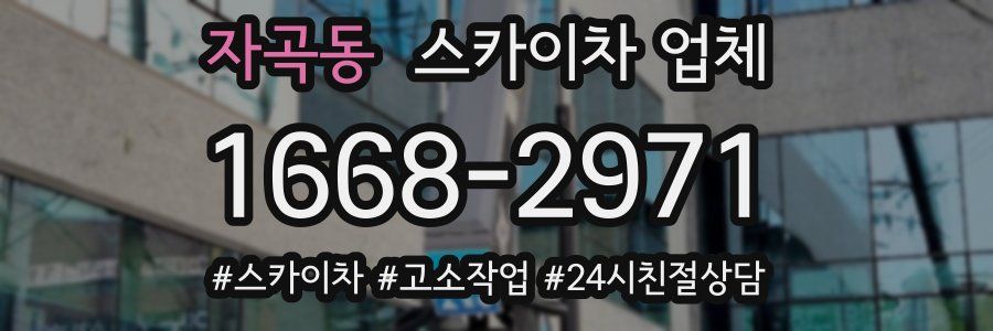자곡동 스카이차 업체