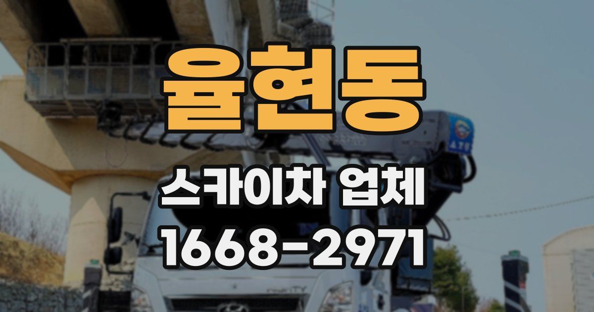 율현동 스카이차 업체
