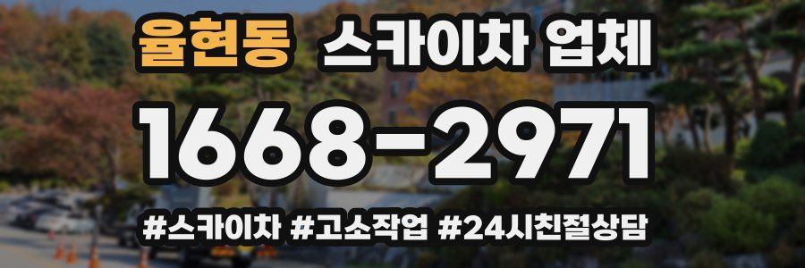 율현동 스카이차 업체
