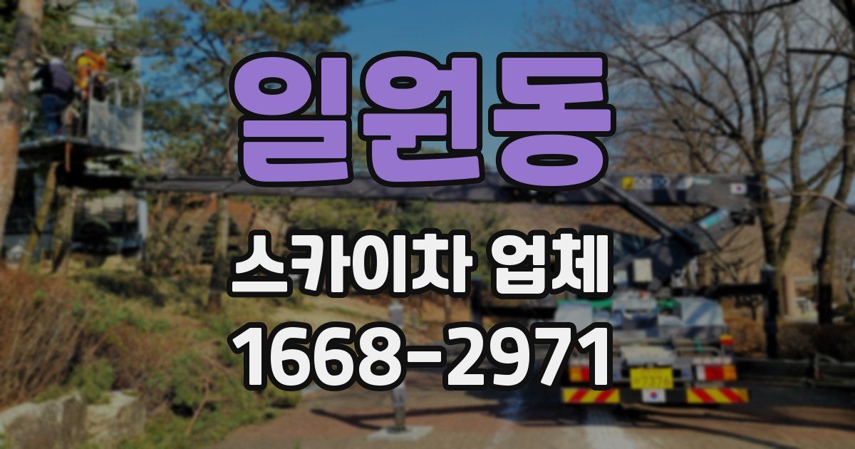 일원동 스카이차 업체