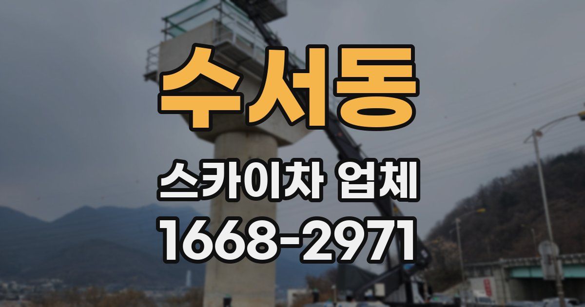 수서동 스카이차 업체