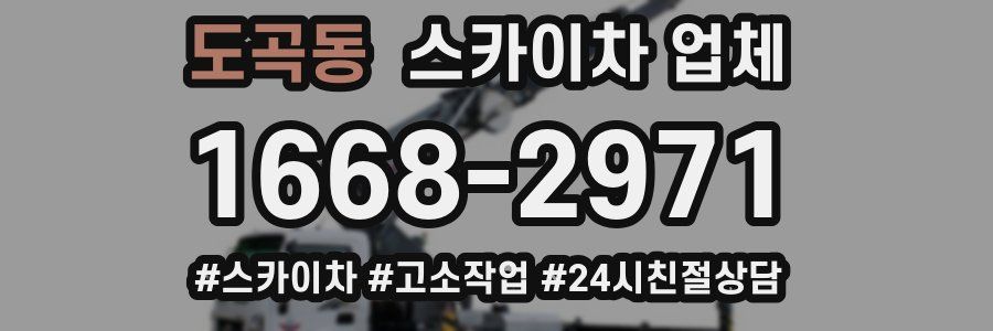 도곡동 스카이차 업체