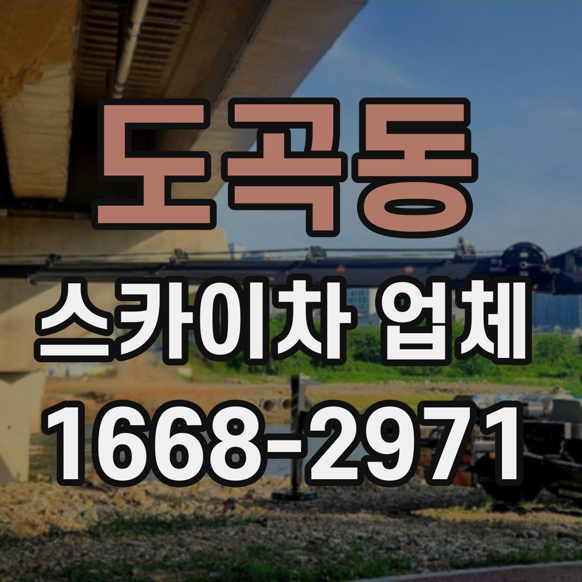 도곡동 스카이차 업체