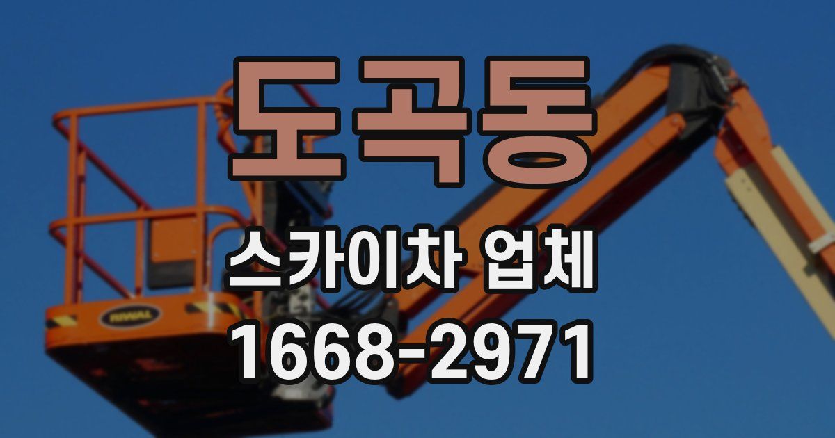 도곡동 스카이차 업체