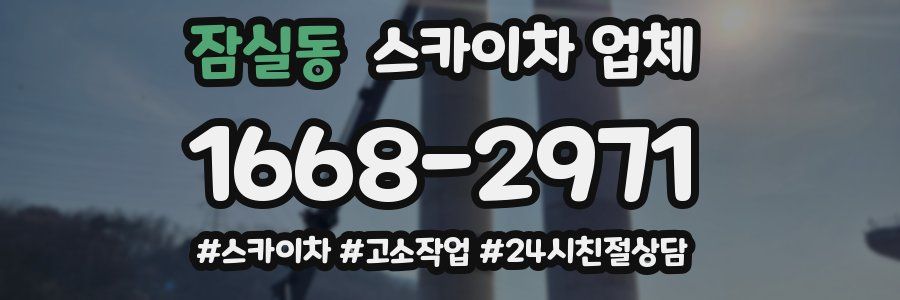 잠실동 스카이차 업체