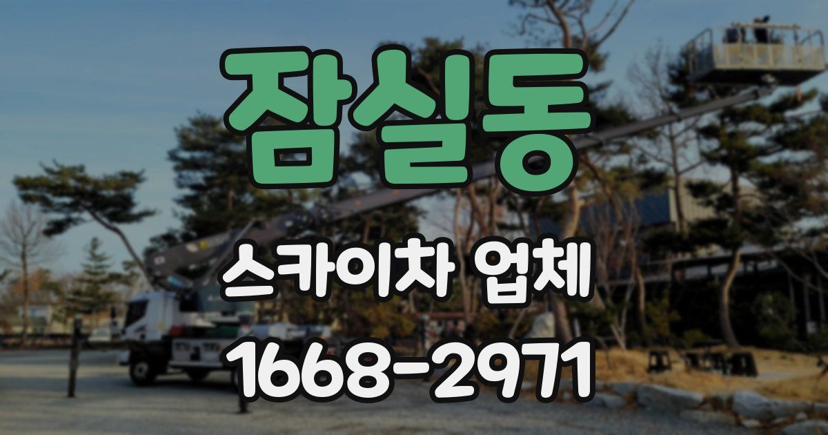 잠실동 스카이차 업체