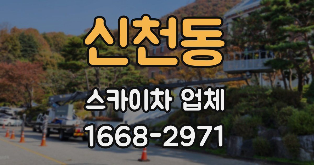 신천동 스카이차 업체
