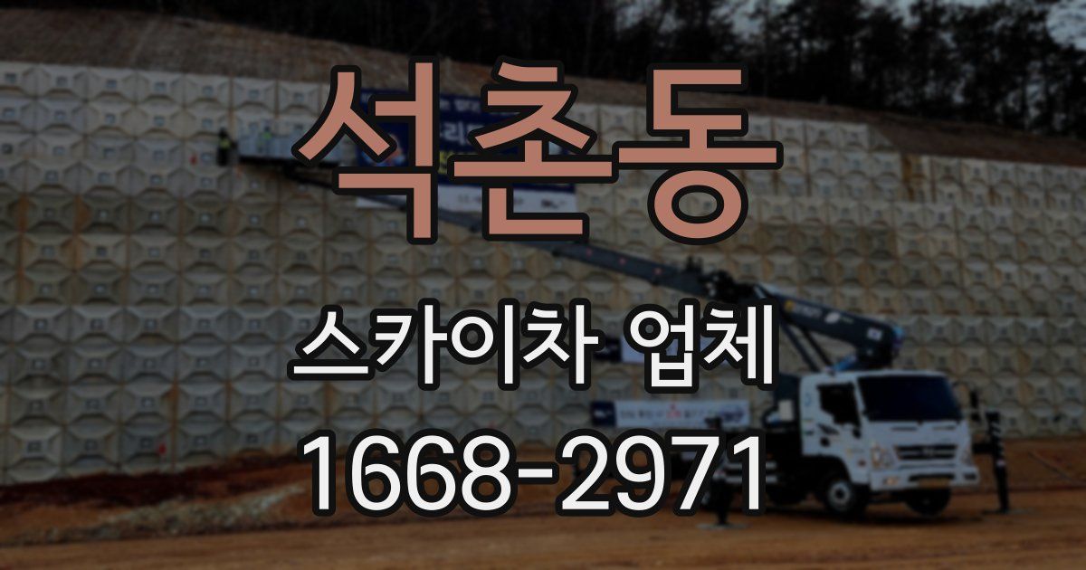석촌동 스카이차 업체
