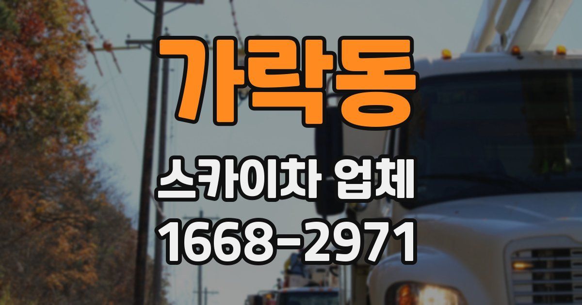 가락동 스카이차 업체
