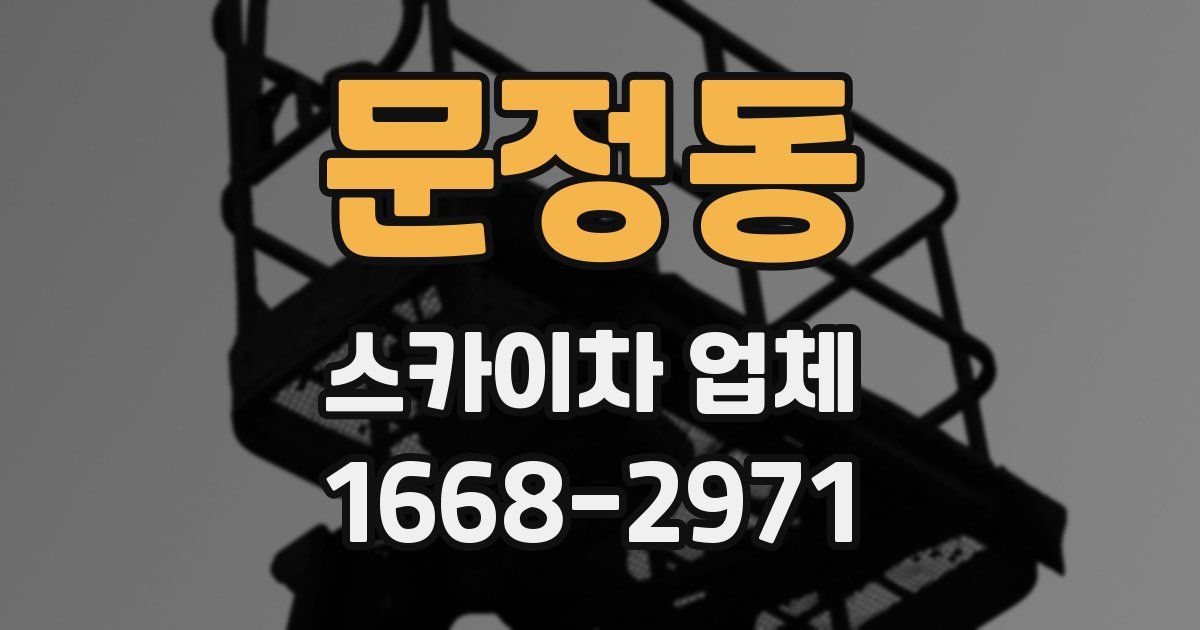 문정동 스카이차 업체
