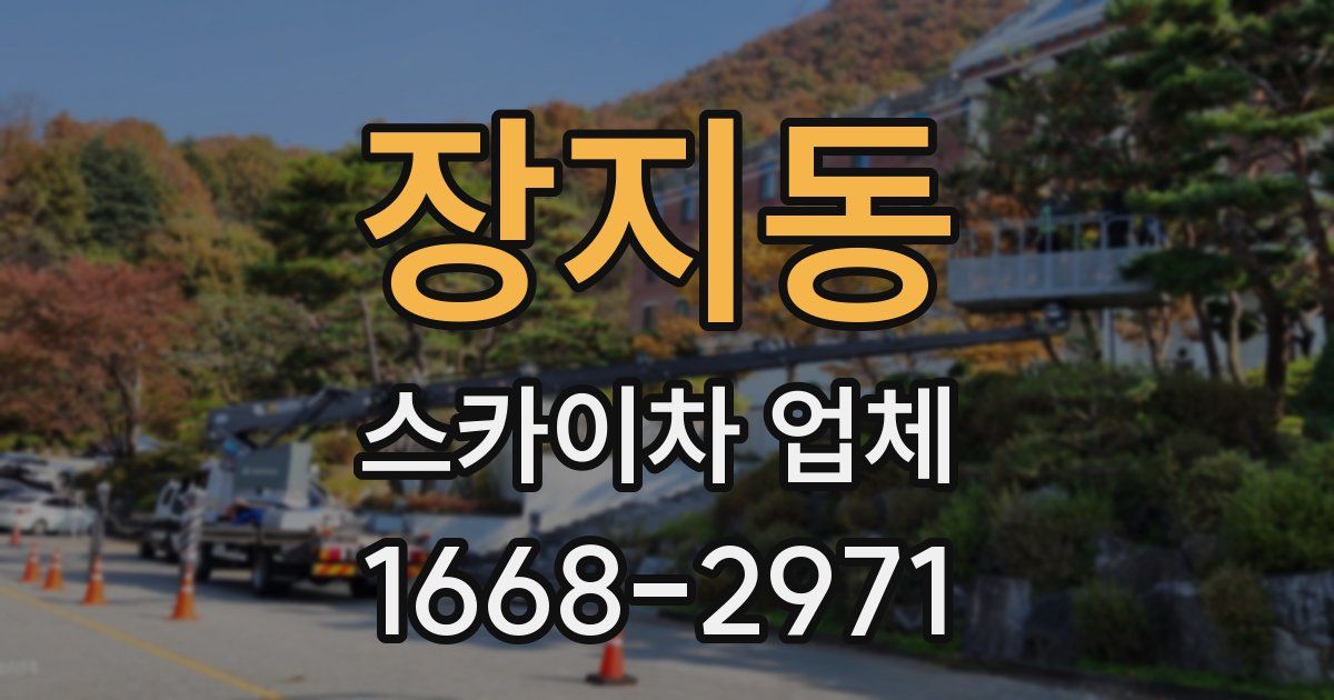장지동 스카이차 업체