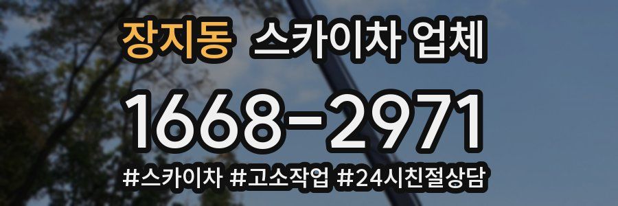 장지동 스카이차 업체